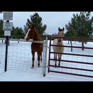 Meet your Posher, Aranxa